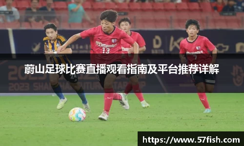 蔚山足球比赛直播观看指南及平台推荐详解