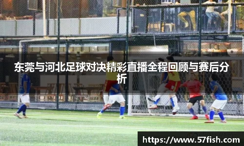 东莞与河北足球对决精彩直播全程回顾与赛后分析